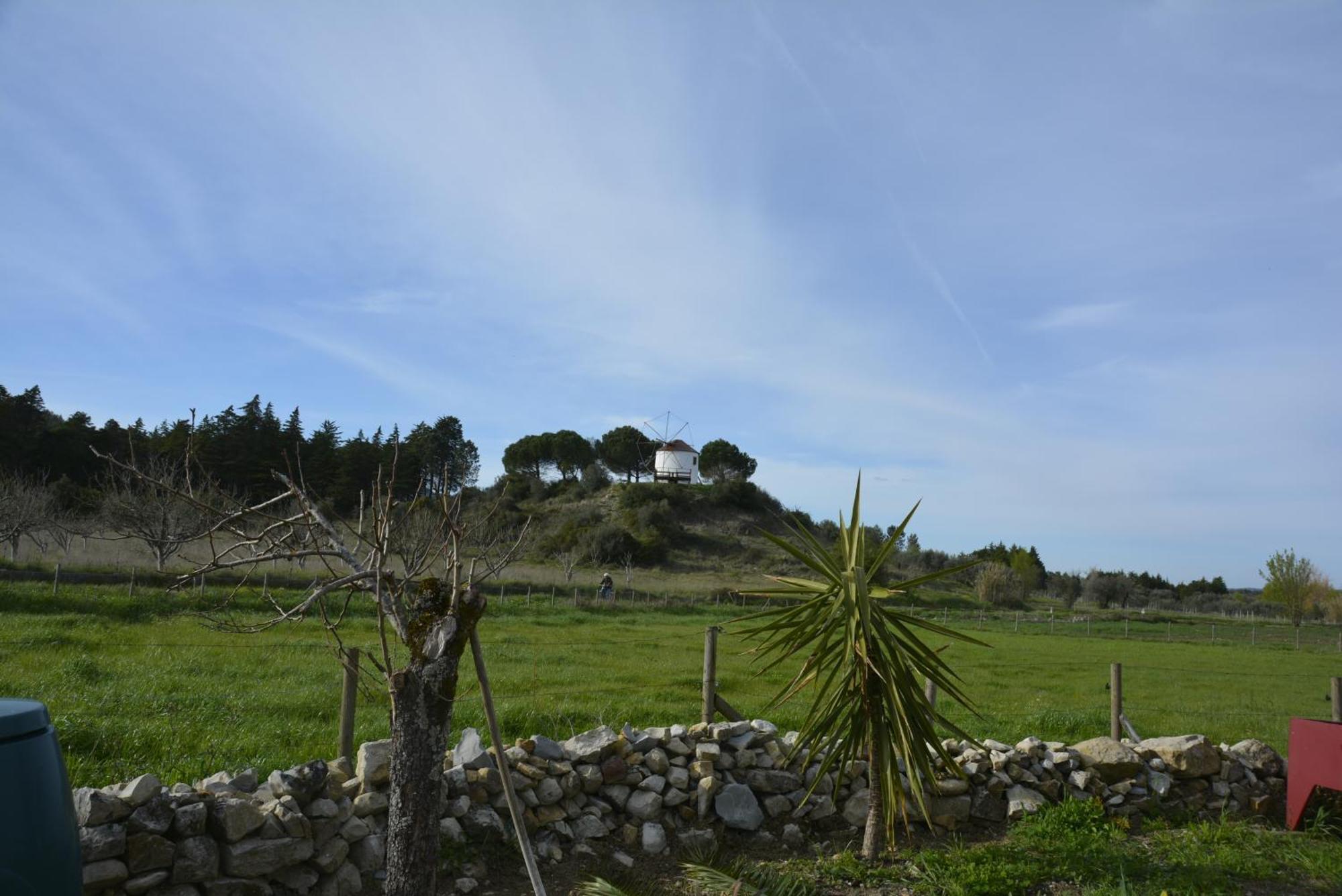 Casa Da Lima - Nestled In Nature On Santiago'S And Fatima'S Path, Close To Coimbra And Rabacal Alvorge Ngoại thất bức ảnh