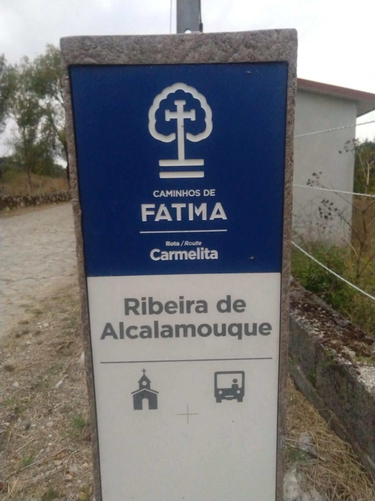 Casa Da Lima - Nestled In Nature On Santiago'S And Fatima'S Path, Close To Coimbra And Rabacal Alvorge Ngoại thất bức ảnh