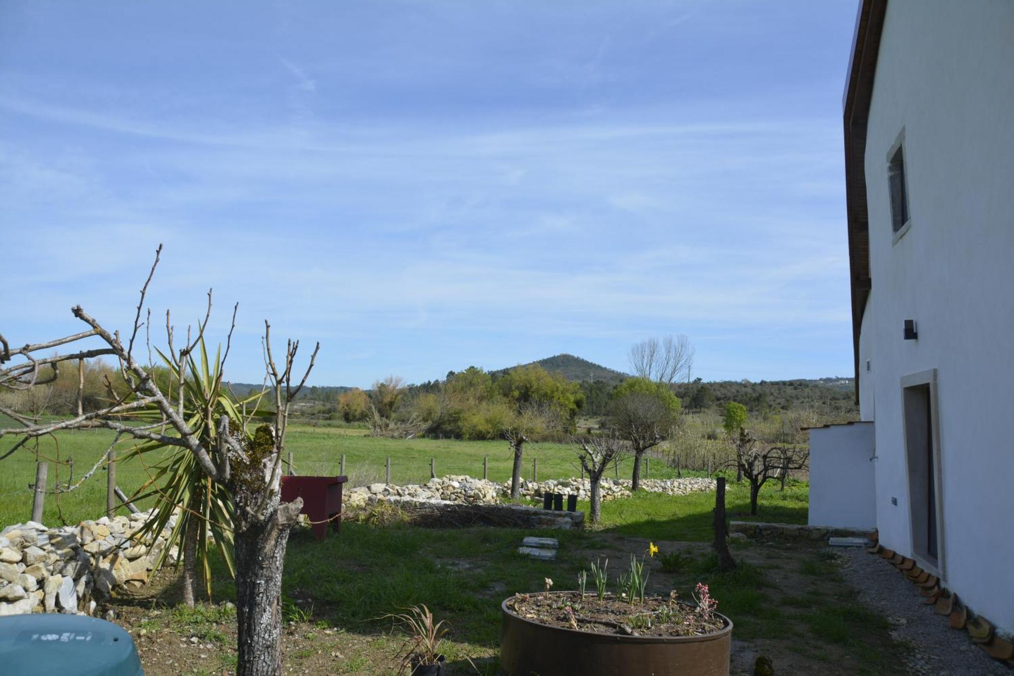 Casa Da Lima - Nestled In Nature On Santiago'S And Fatima'S Path, Close To Coimbra And Rabacal Alvorge Ngoại thất bức ảnh