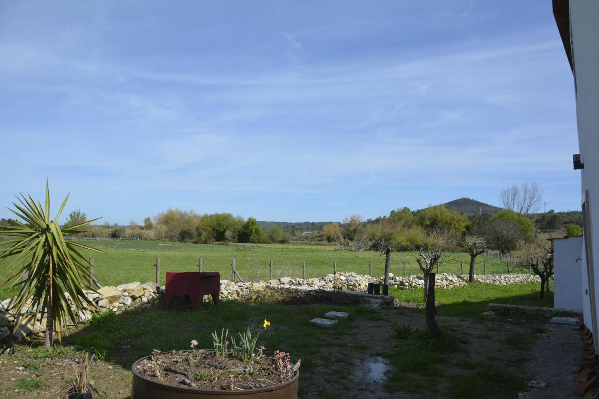 Casa Da Lima - Nestled In Nature On Santiago'S And Fatima'S Path, Close To Coimbra And Rabacal Alvorge Ngoại thất bức ảnh