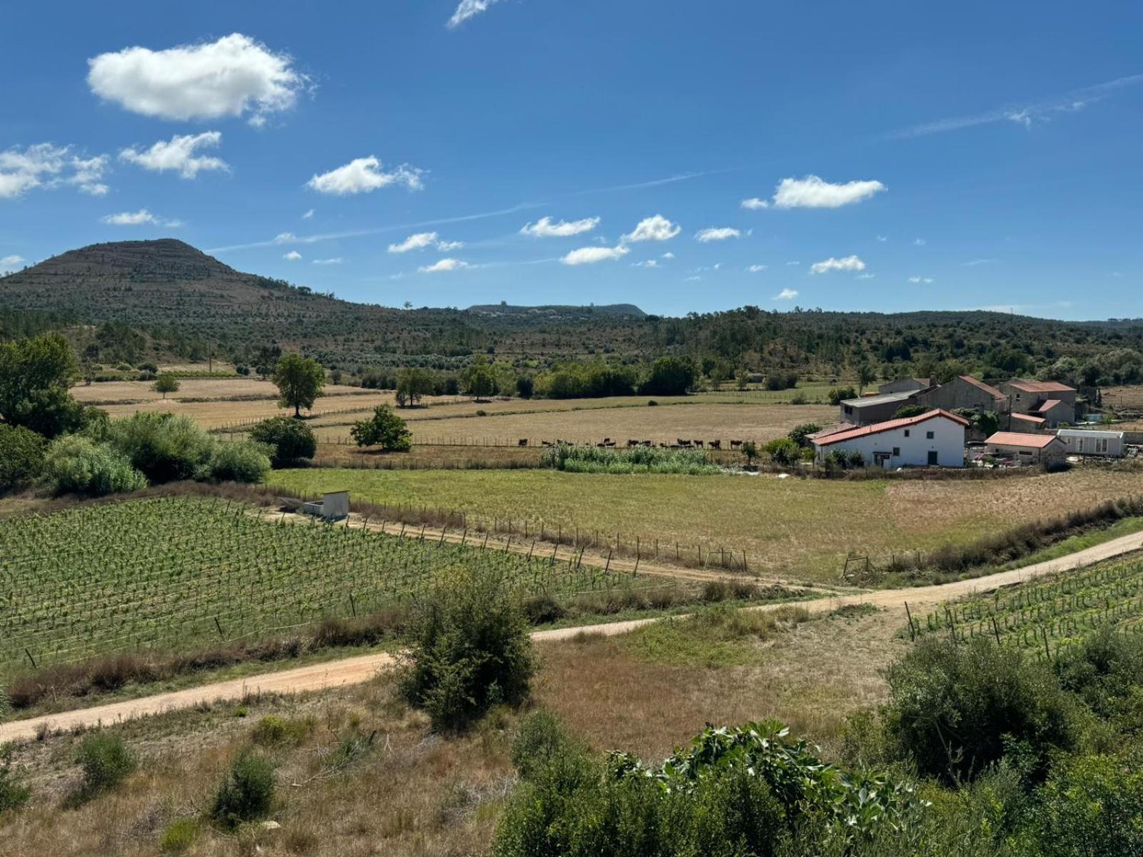Casa Da Lima - Nestled In Nature On Santiago'S And Fatima'S Path, Close To Coimbra And Rabacal Alvorge Ngoại thất bức ảnh