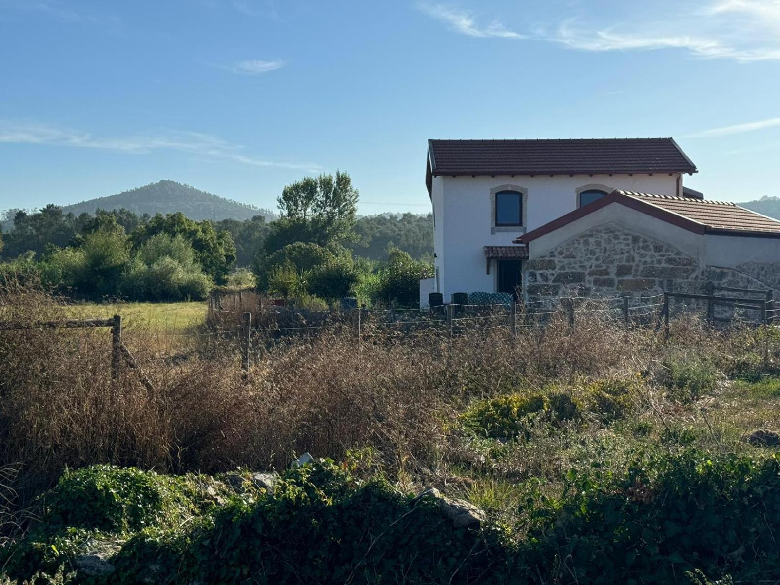 Casa Da Lima - Nestled In Nature On Santiago'S And Fatima'S Path, Close To Coimbra And Rabacal Alvorge Ngoại thất bức ảnh