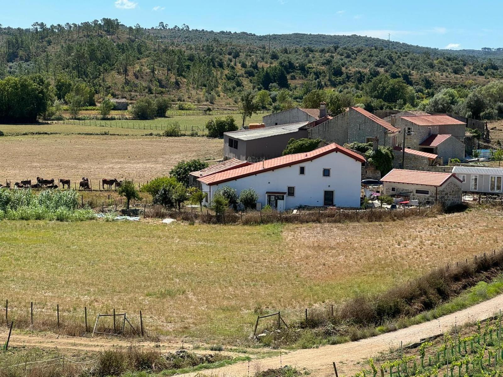 Casa Da Lima - Nestled In Nature On Santiago'S And Fatima'S Path, Close To Coimbra And Rabacal Alvorge Ngoại thất bức ảnh