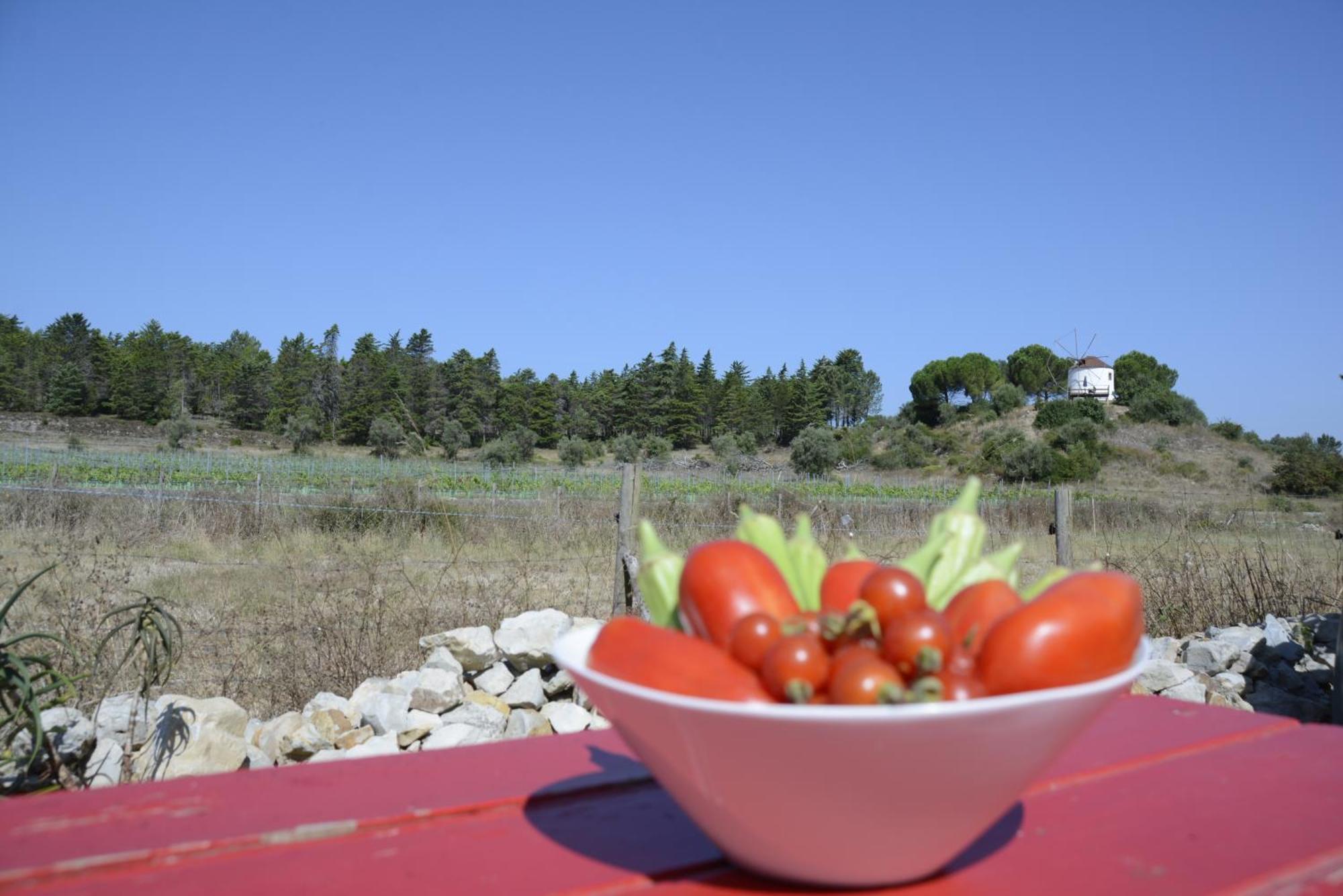 Casa Da Lima - Nestled In Nature On Santiago'S And Fatima'S Path, Close To Coimbra And Rabacal Alvorge Ngoại thất bức ảnh