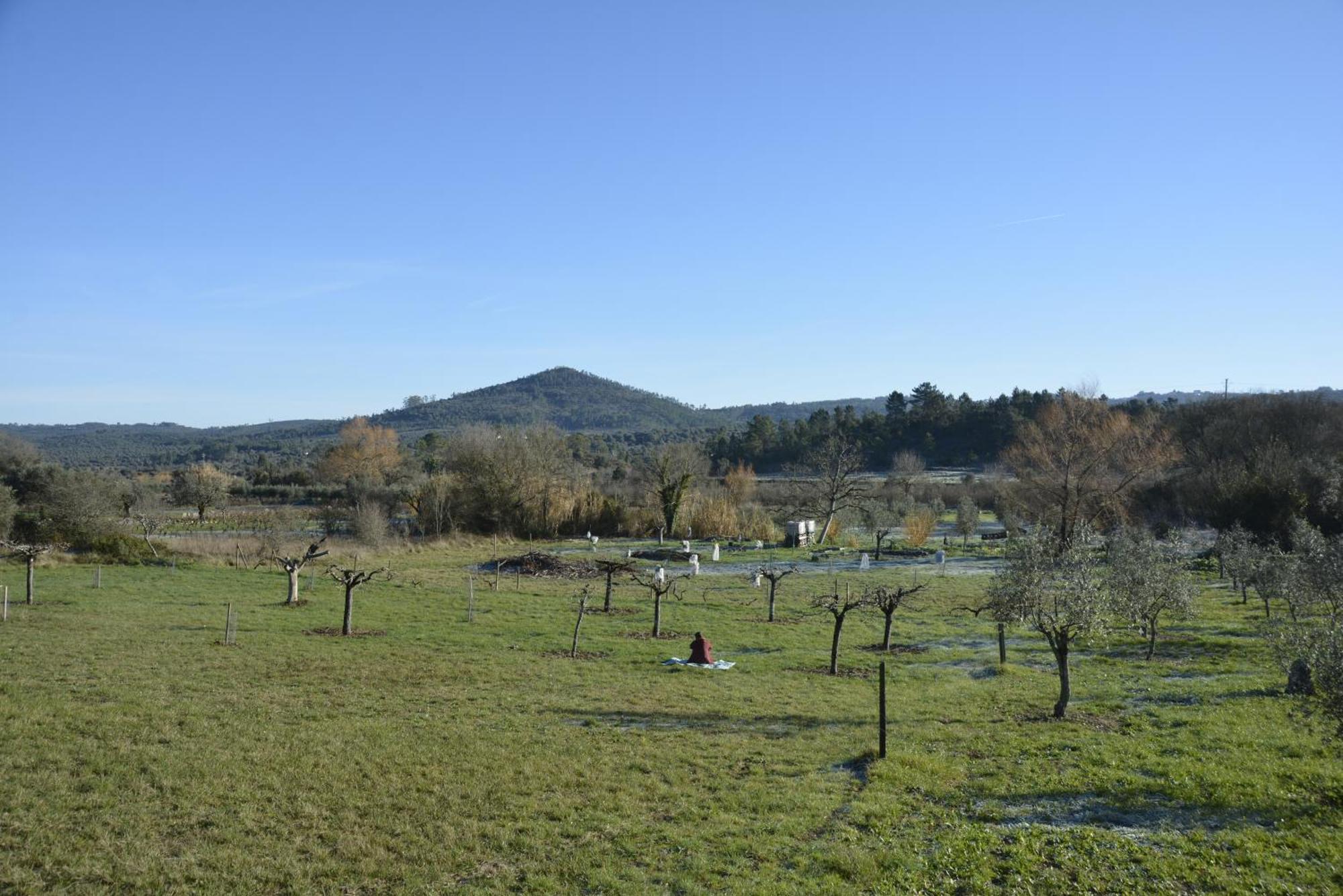 Casa Da Lima - Nestled In Nature On Santiago'S And Fatima'S Path, Close To Coimbra And Rabacal Alvorge Ngoại thất bức ảnh